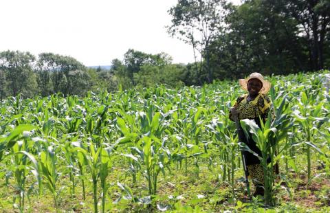 3 Ways to Make Your Community Farm Friendly Extension